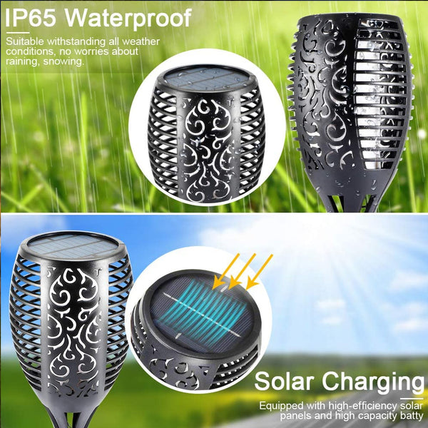 Garden Solar Lights